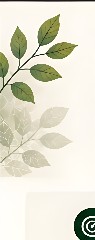 Botanical Motif
